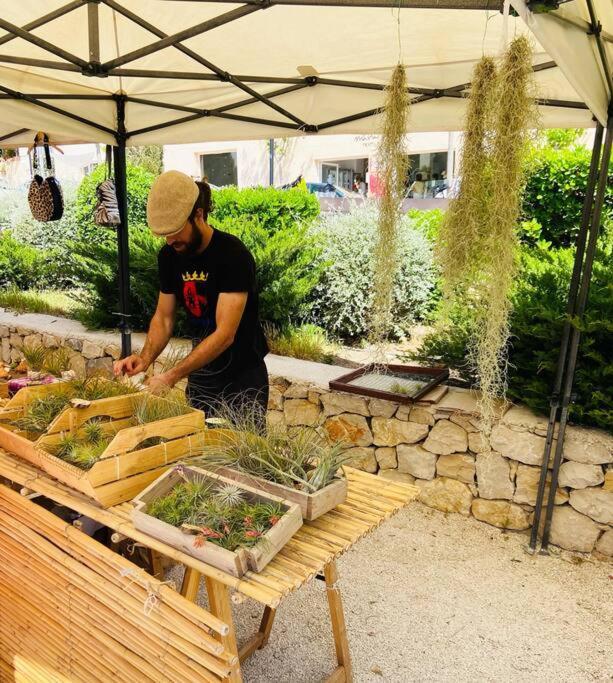 Apartamento Mediterraneo Entre Vinedos Jesus Pobre Dış mekan fotoğraf