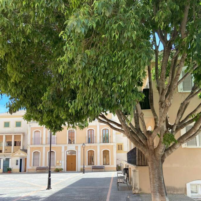 Apartamento Mediterraneo Entre Vinedos Jesus Pobre Dış mekan fotoğraf