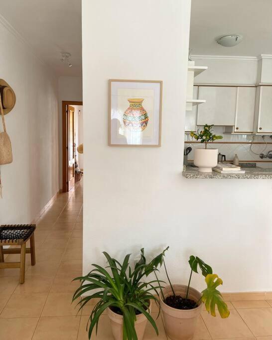 Apartamento Mediterraneo Entre Vinedos Jesus Pobre Dış mekan fotoğraf