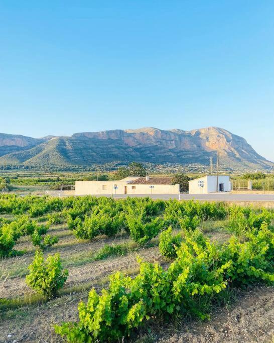 Apartamento Mediterraneo Entre Vinedos Jesus Pobre Dış mekan fotoğraf